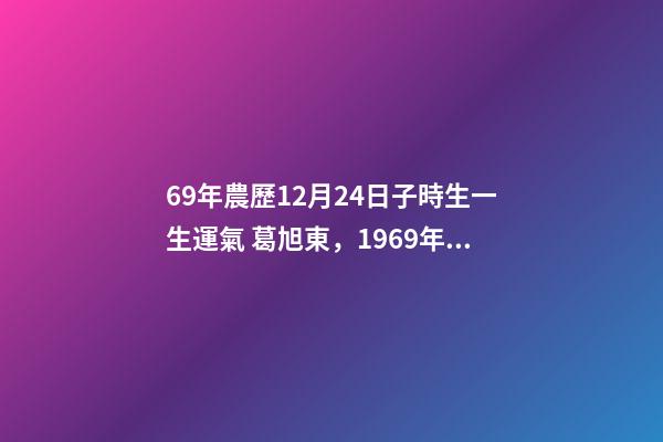 69年農歷12月24日子時生一生運氣 葛旭東，1969年12月24日子時出生幫忙算一下運勢-第1張-觀點-玄機派